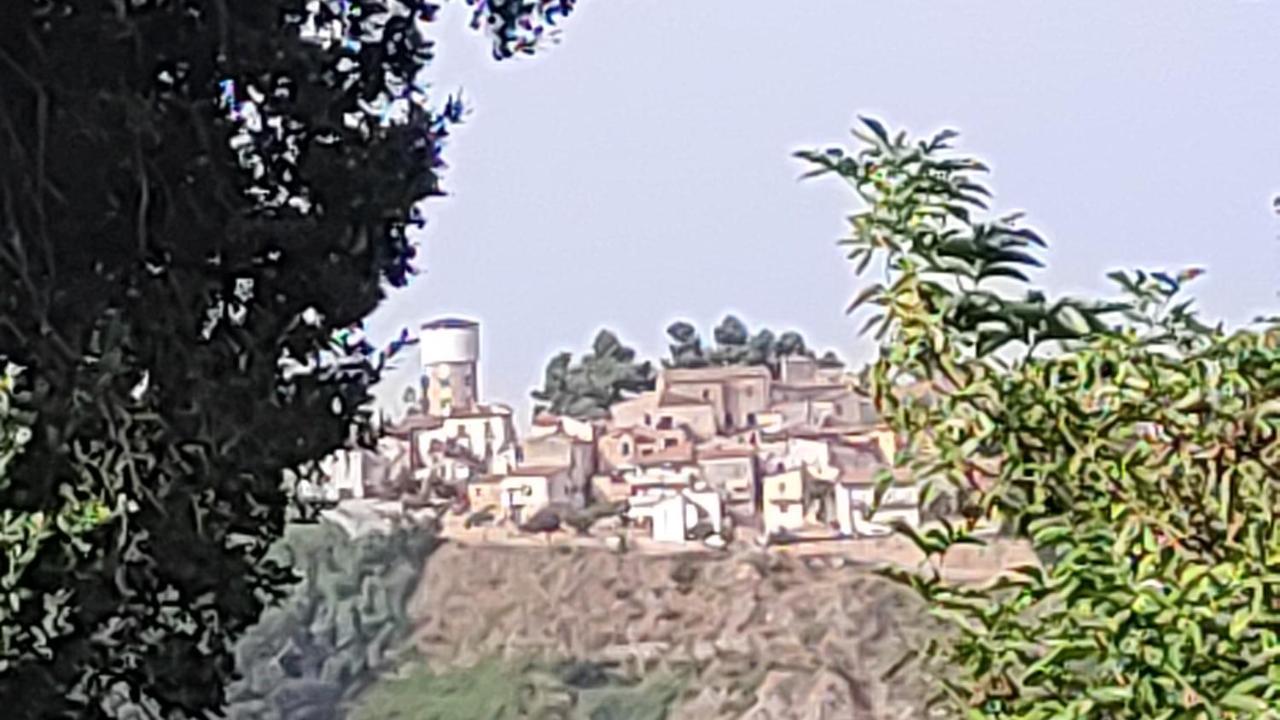 B&B I Tre Ulivi Morro dʼOro Esterno foto
