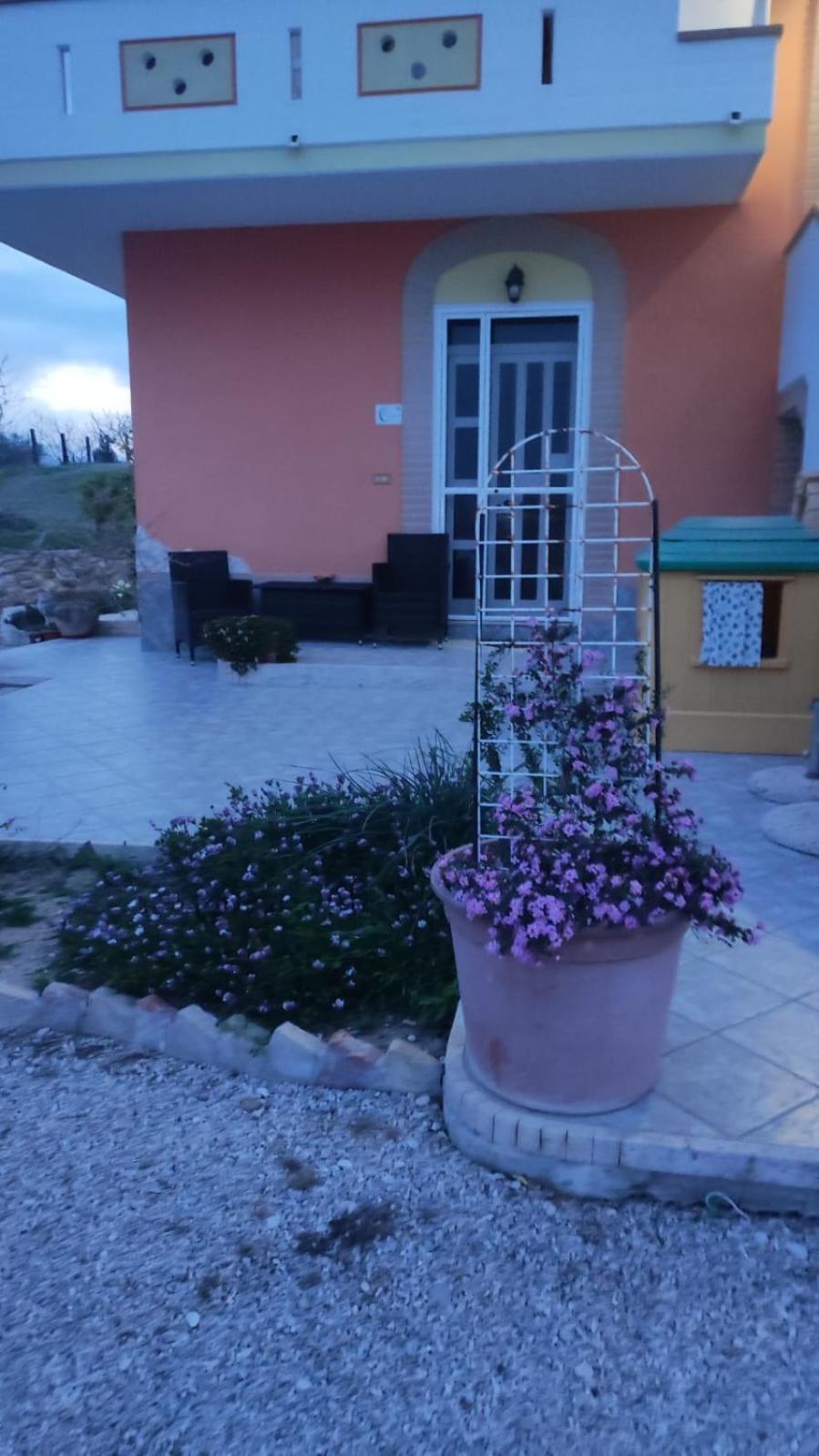 B&B I Tre Ulivi Morro dʼOro Esterno foto